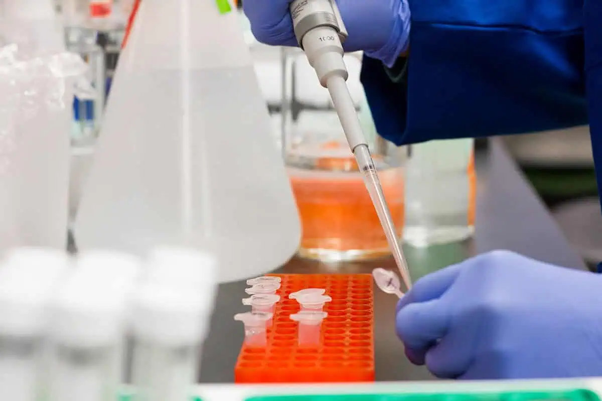 Strzykawki do chromatografii – precyzja i niezawodność w laboratorium