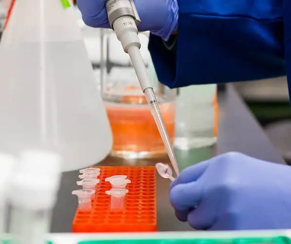 Strzykawki do chromatografii – precyzja i niezawodność w laboratorium
