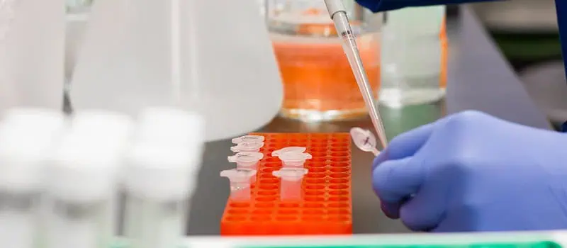 Strzykawki do chromatografii – precyzja i niezawodność w laboratorium