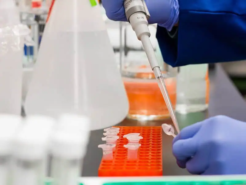 Strzykawki do chromatografii – precyzja i niezawodność w laboratorium