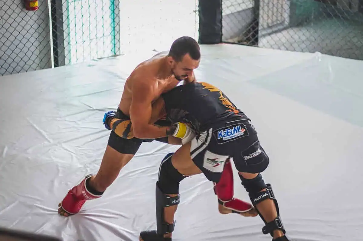 Co to jest MMA? Na czym polegają mieszane sztuki walki?