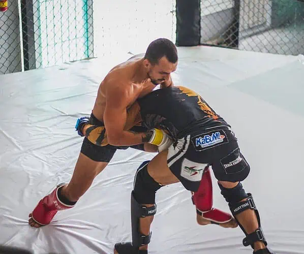 Co to jest MMA? Na czym polegają mieszane sztuki walki?